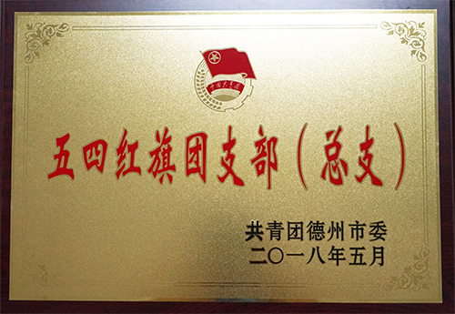 安博体育官网入口（中国）有限公司
荣获“德州市五四红旗团支部”荣誉称号